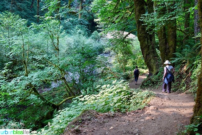 hiking at Silver Falls State Park