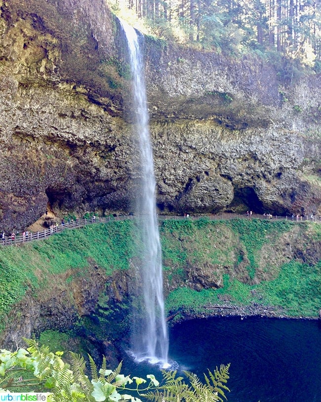 Silver Falls Hiking Trail Silver Falls State Park Hikes: Trail Of Ten Falls | Urban Bliss Life