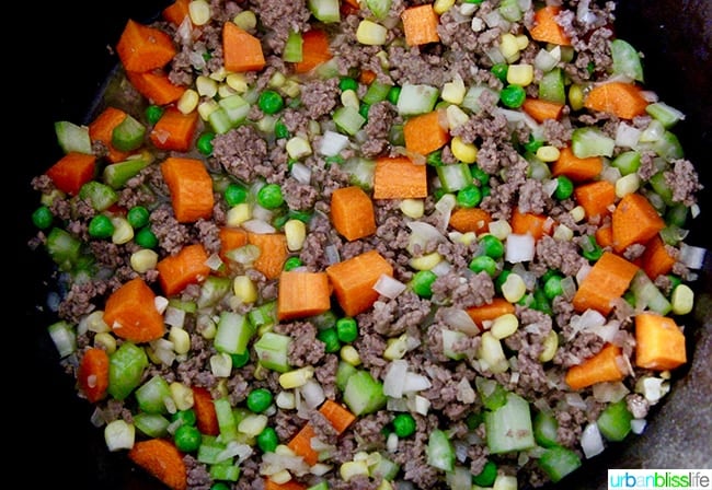 shepherd's pie ingredients - carrots, peas, corn, and meat