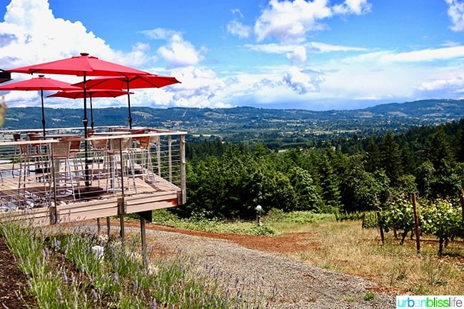 Lange winery patio