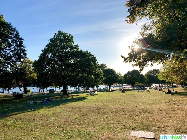 London Hyde Park Serpentine