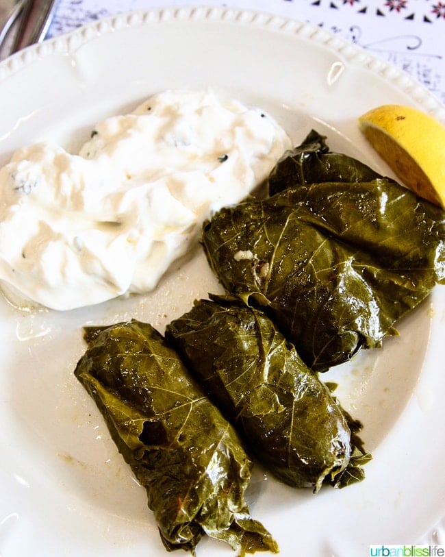 Dolmades on a plate