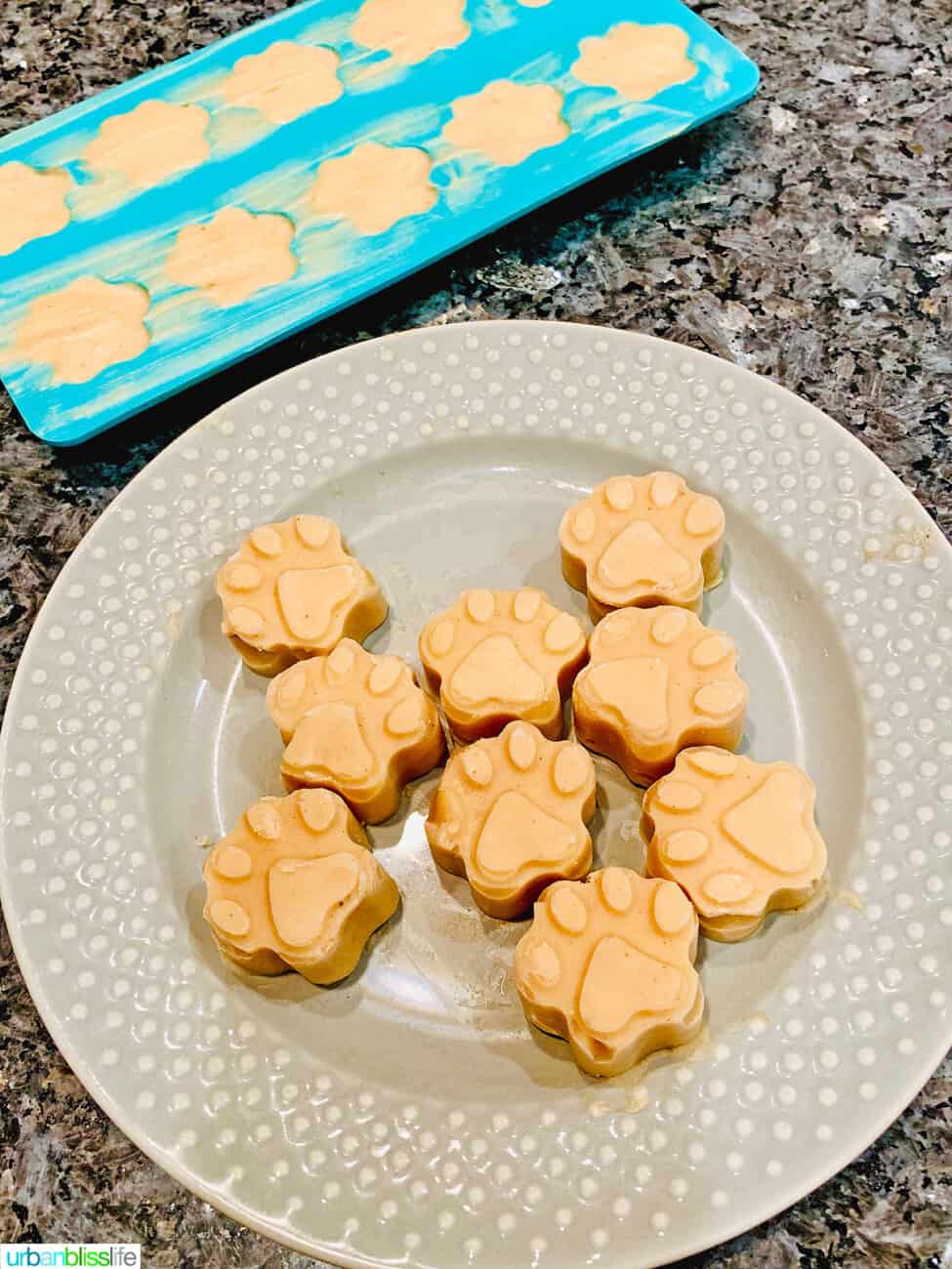 frozen peanut butter banana dog treats on a plate with some in the mold