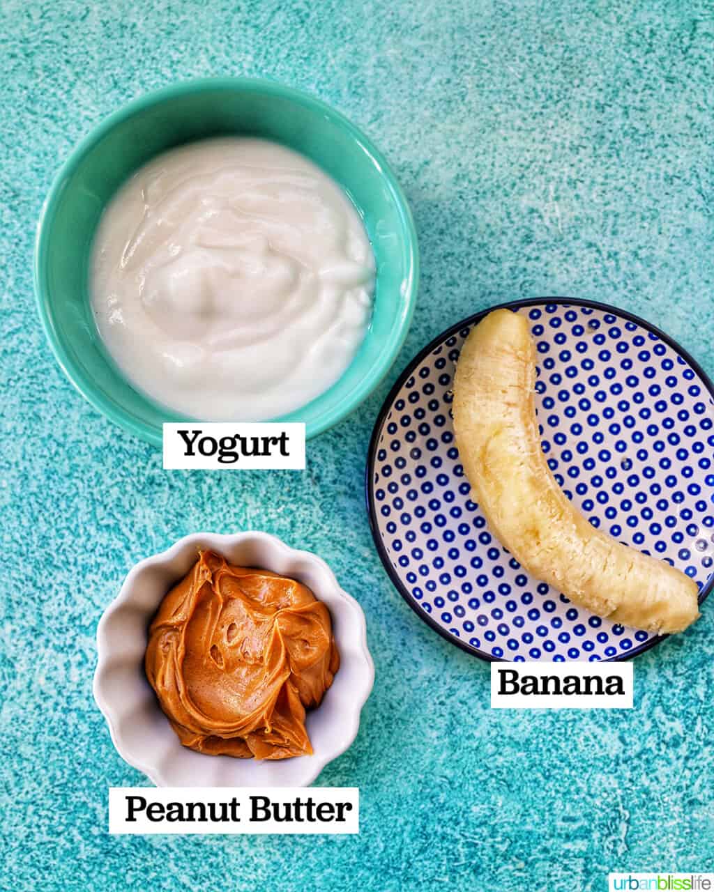 Frozen Greek Yogurt & Peanut Butter Dog Treats, Recipes