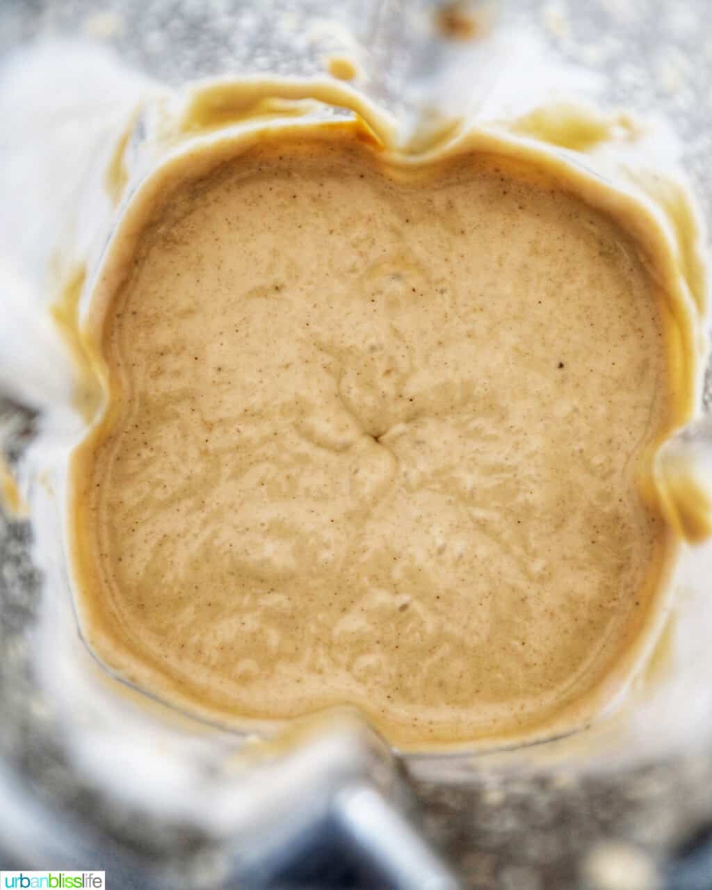 ingredients to make frozen peanut butter banana dog treats blended in blender