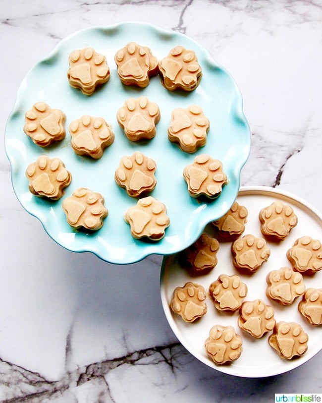 Frozen Peanut Butter Banana Dog Treats 