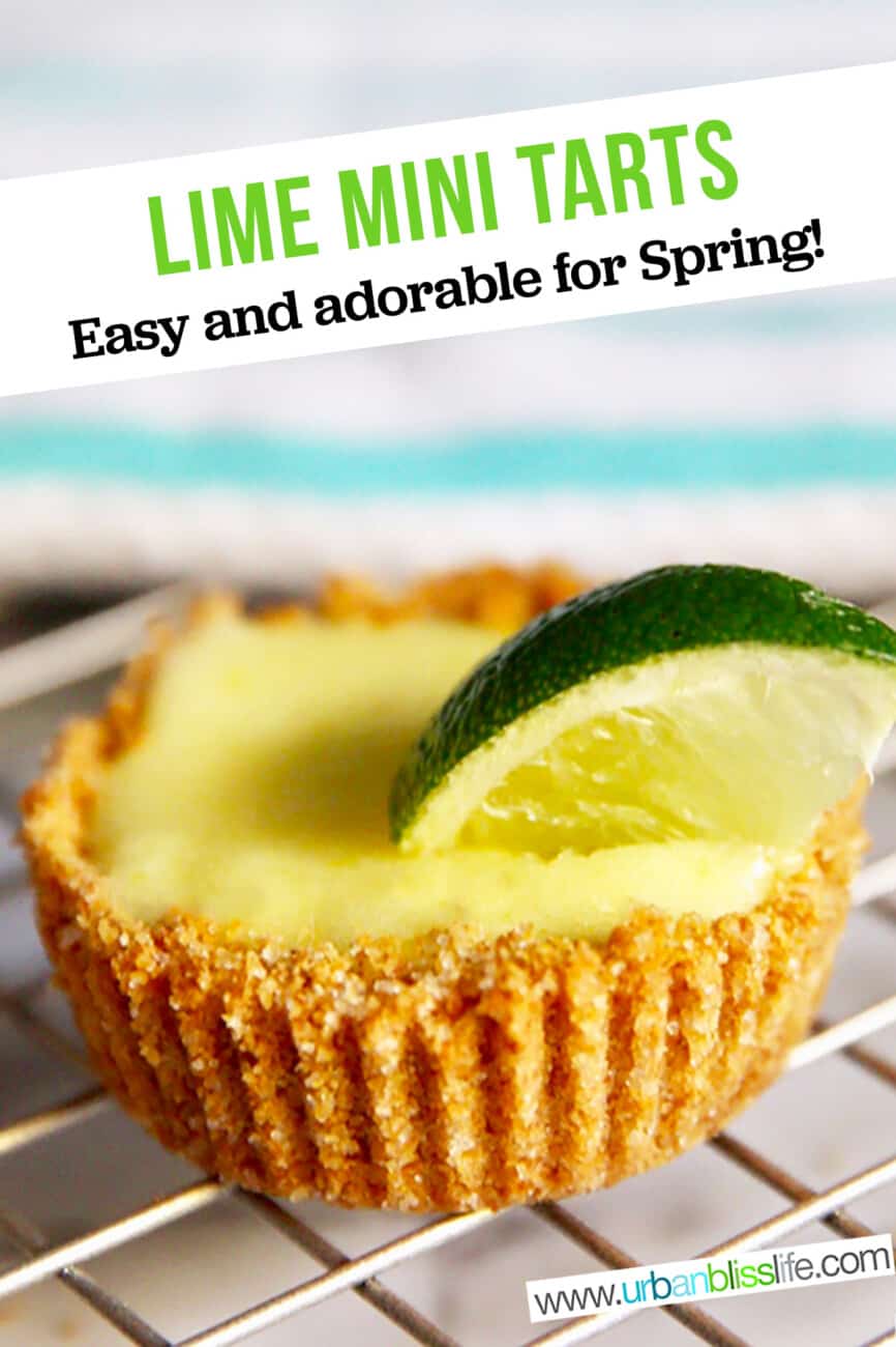 single mini lime tart with text for Pinterest