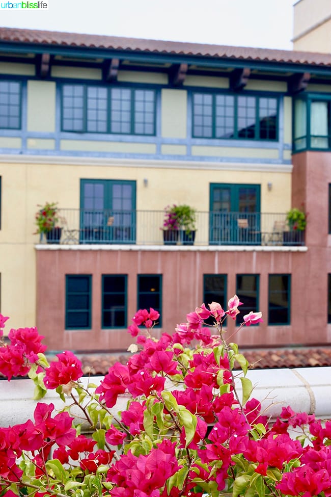 fuschia flowers at Hotel Valencia Santana Row