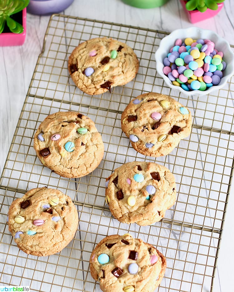 set of Giant Chocolate Chip M&M Cookies on cookie rack