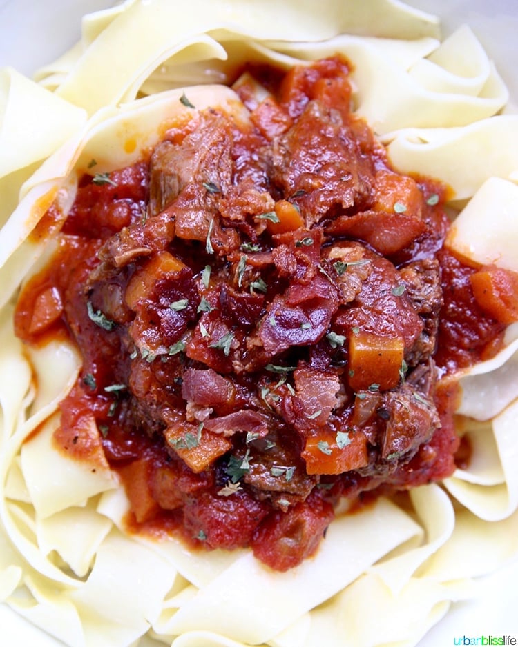 closeup of Instant Pot Short Ribs ragu over pasta