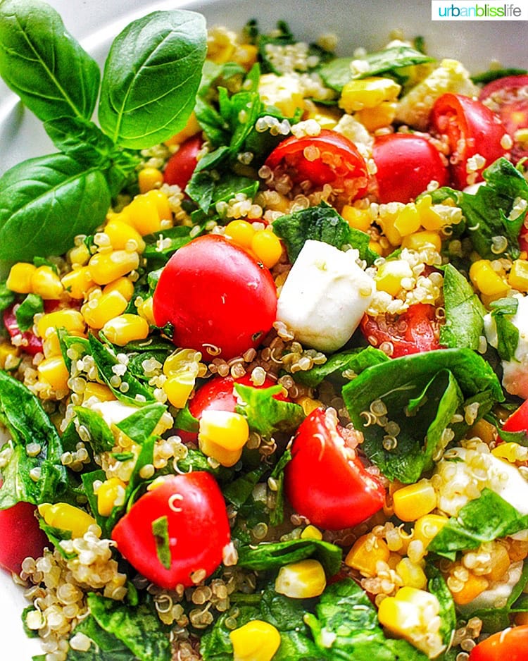 Summer Corn & Quinoa Caprese Salad closeup