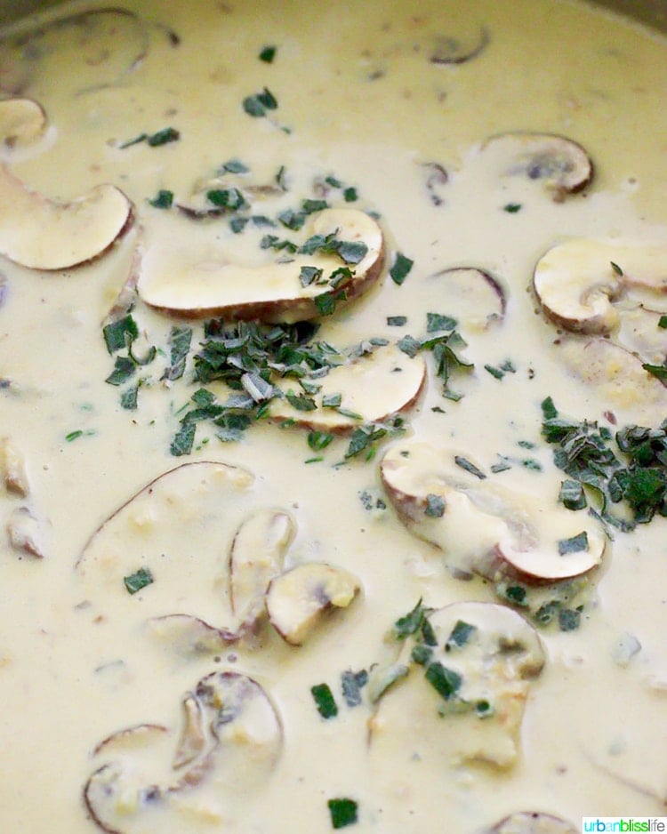 Creamy Vegan Mushroom Pasta close up