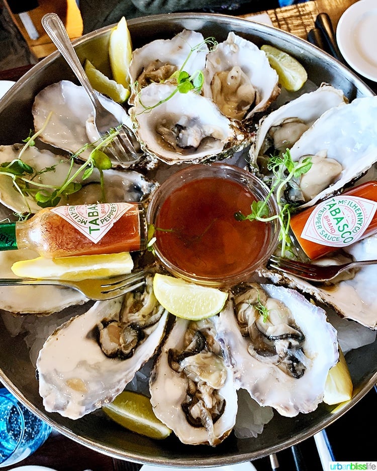 oysters at Guinness Storehouse