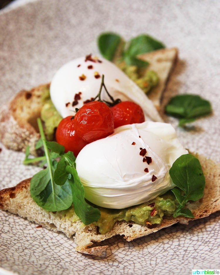 avocado toast and poached eggs at Wilder Townhouse