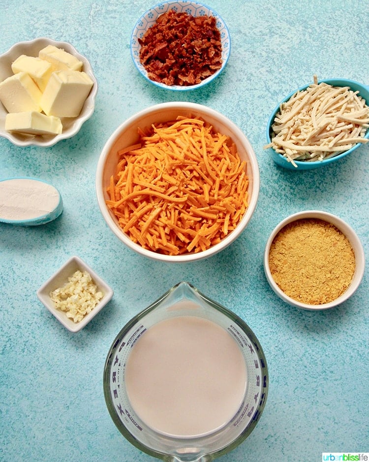 Dairy-Free-Mac-and-Cheese-Ingredients