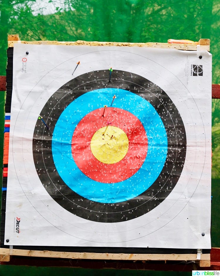 Delphi Mountain Resort Archery Target