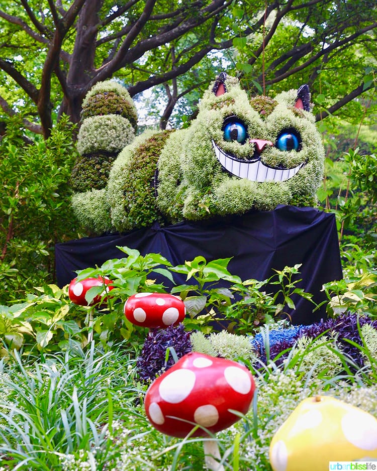 garden sculpture of cheshire cat with mushrooms in the foreground. 