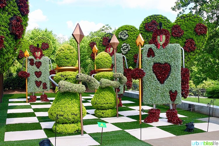 garden chessboard.