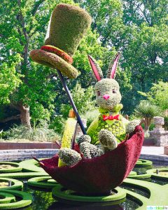 Atlanta Botanical Garden Rabbit