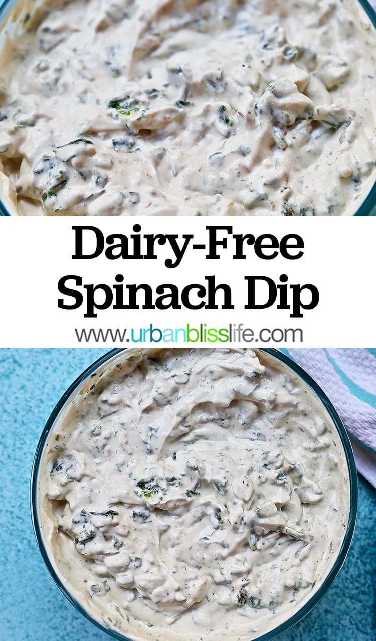 Dairy Free Spinach Dip recipe