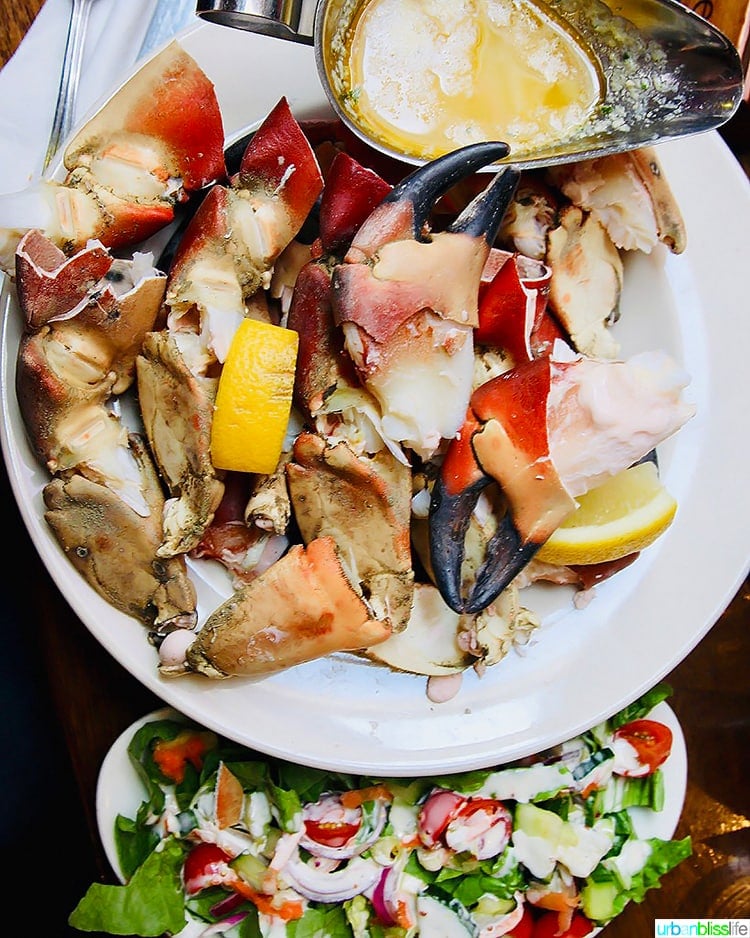 crab leggs and salad at Talbott Hotel Bar Belmullet Ireland