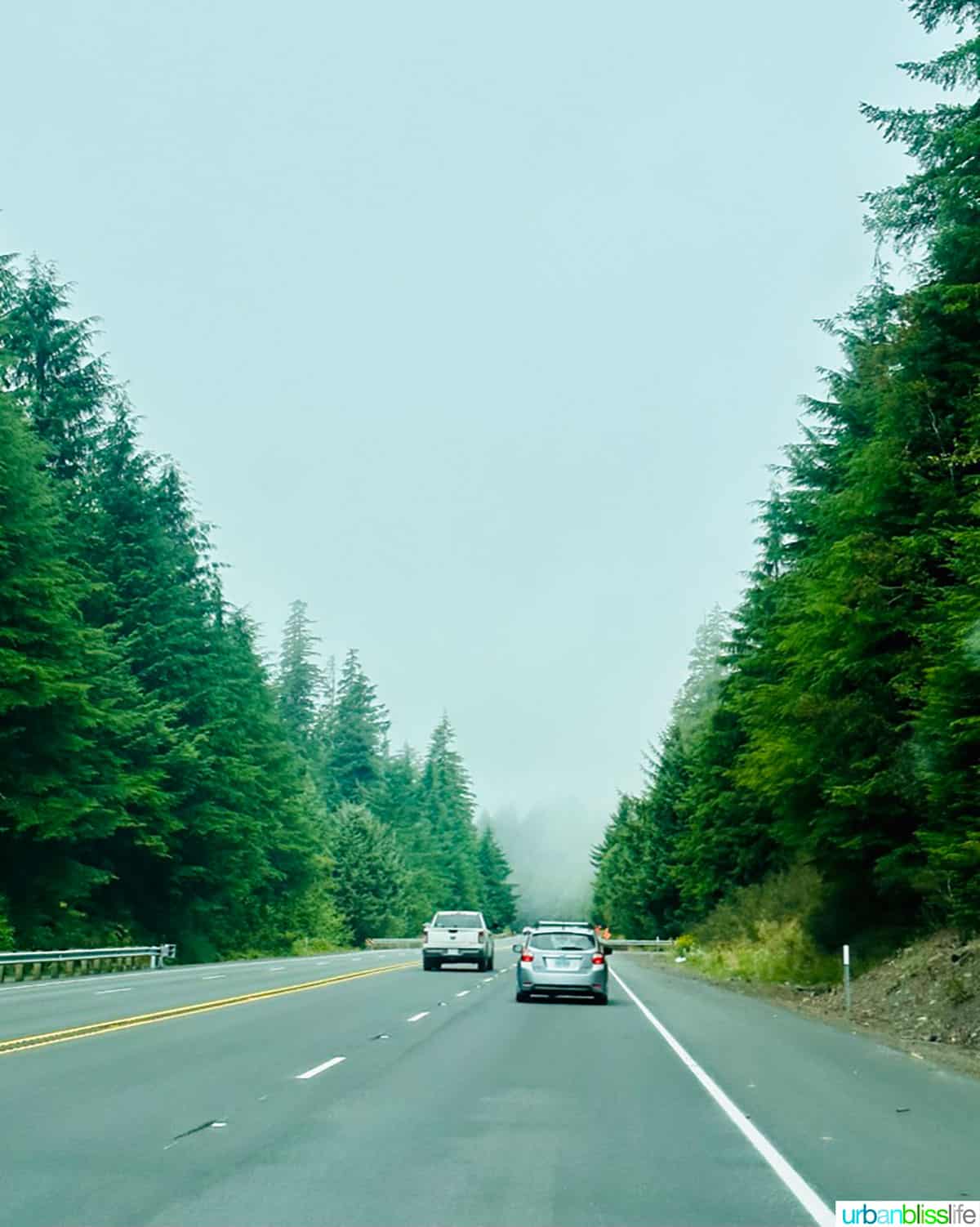 Foggy Oregon highway with trees with two cars on it.