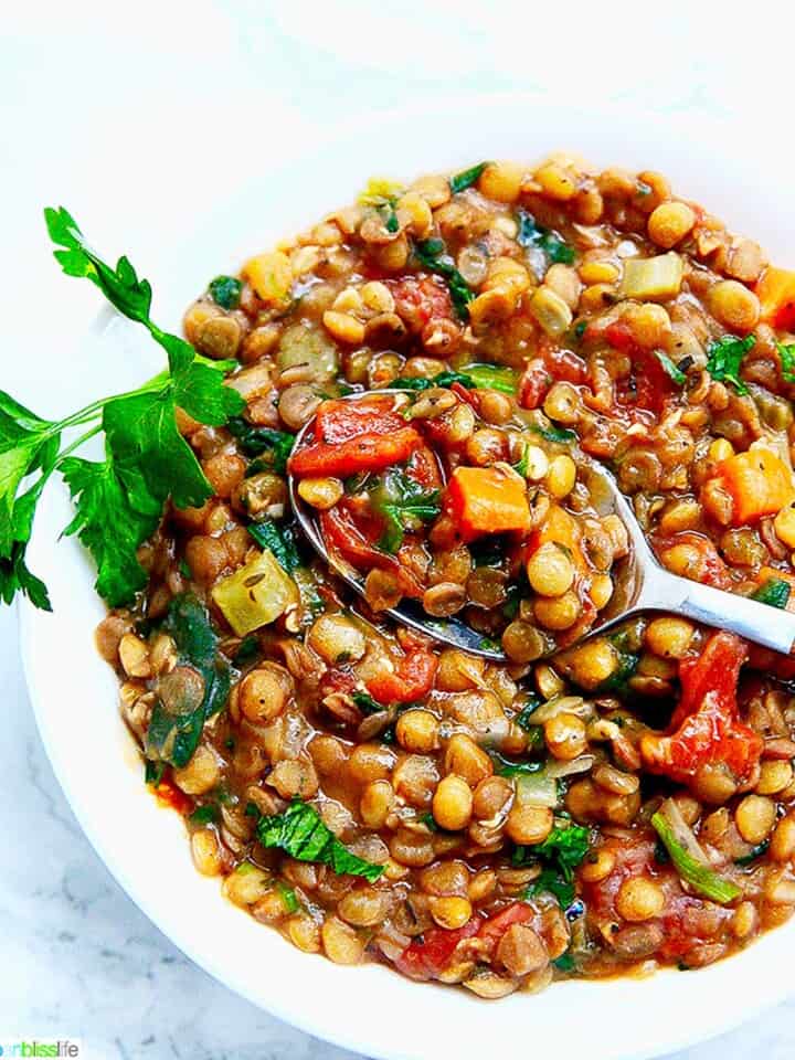 one bowl of Instant Pot Lentil Soup