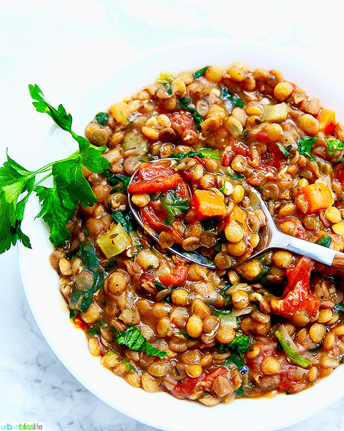 one bowl of Instant Pot Lentil Soup with spoonful of lentils.