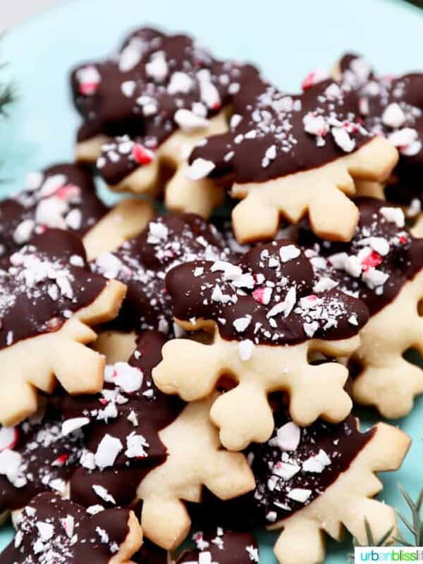 chocolate dipped peppermint shortbread cookies