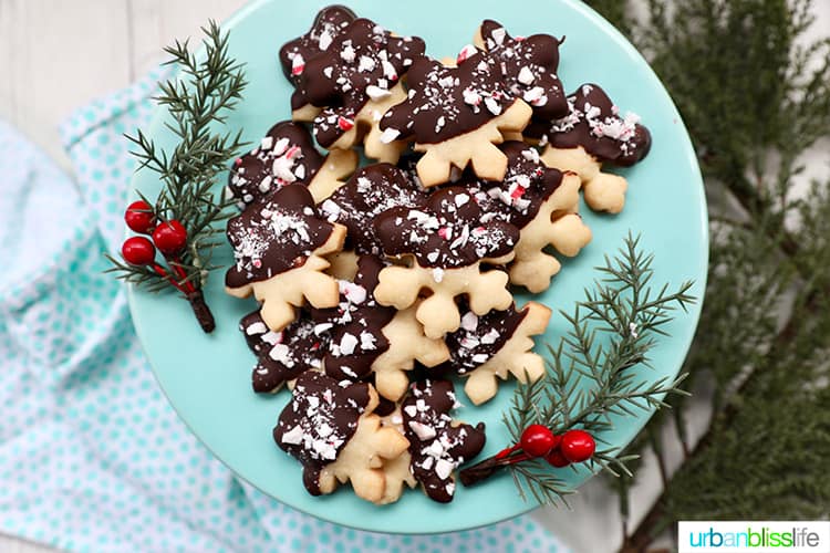 chocolate dipped peppermint shortbread cookies on a plate