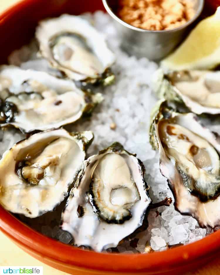 oysters