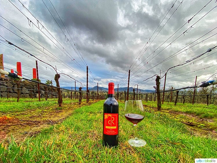 wide shot of wine bottle and red wine glass in Cooper Ridge vineyard