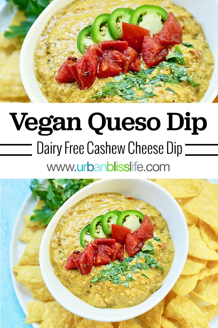main image of Dairy Free Queso Dip and chips