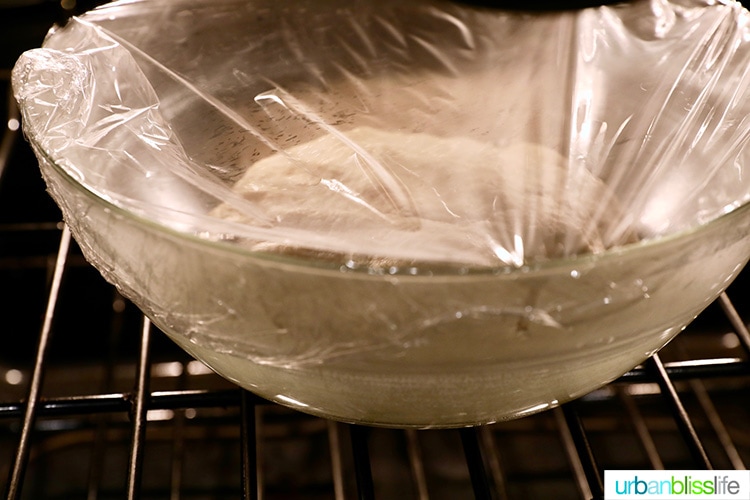 pizza dough ball proofing in a clear bowl covered with plastic wrap in the oven.