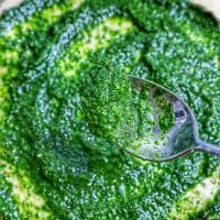 spoonful of spinach pesto sauce