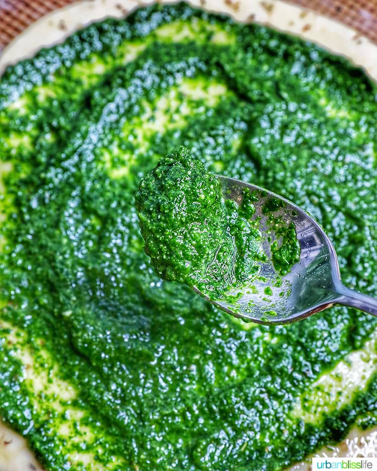 spoonful of spinach pesto sauce