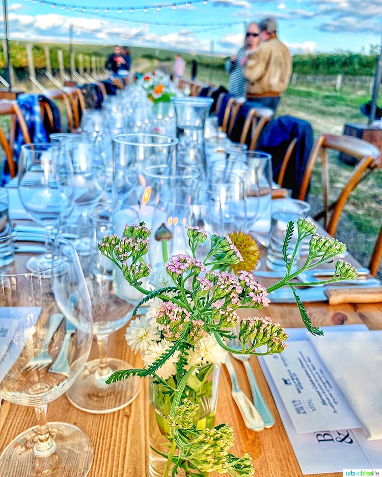 table setting at harvest celebration dinner walla walla vineyard