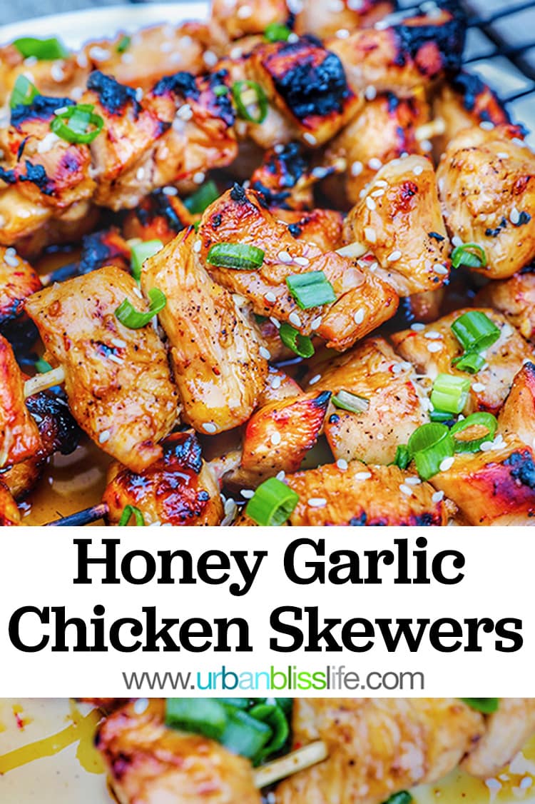 Honey Garlic Chicken Skewers