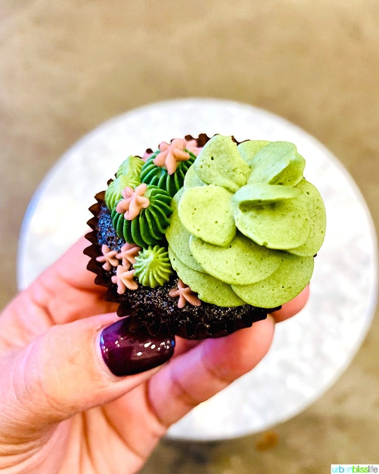 cute cupcake at Urban Backyard coffee shop near Little Italy New York City