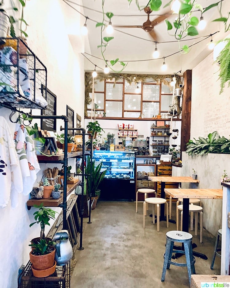 interior of Urban Backyard coffee shop near Little Italy NYC