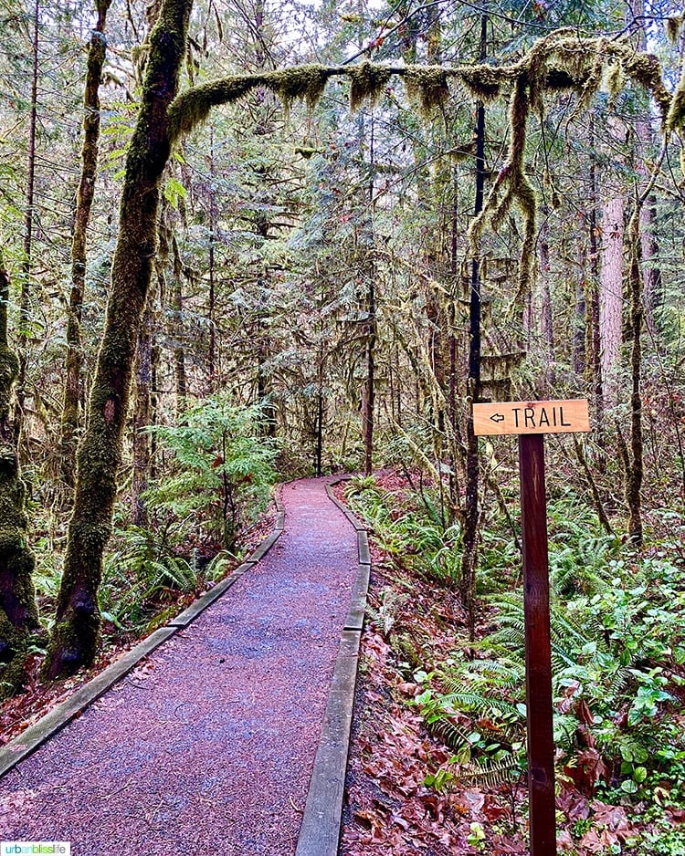 hiking trail sign in Umpqua Valley