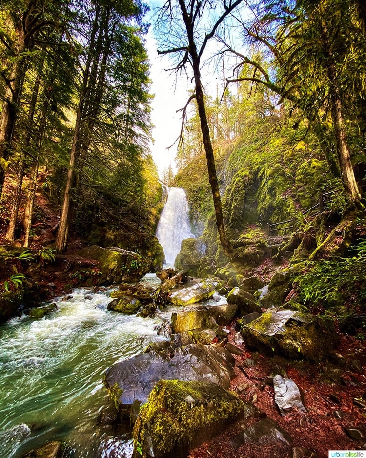 sun peeking out over Susan Creek Falls waterfall