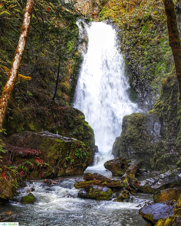 Susan Creek Falls waterfall is beautiful!