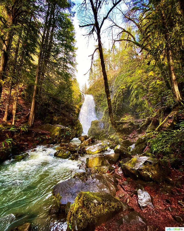 far away shot of this Oregon waterfall