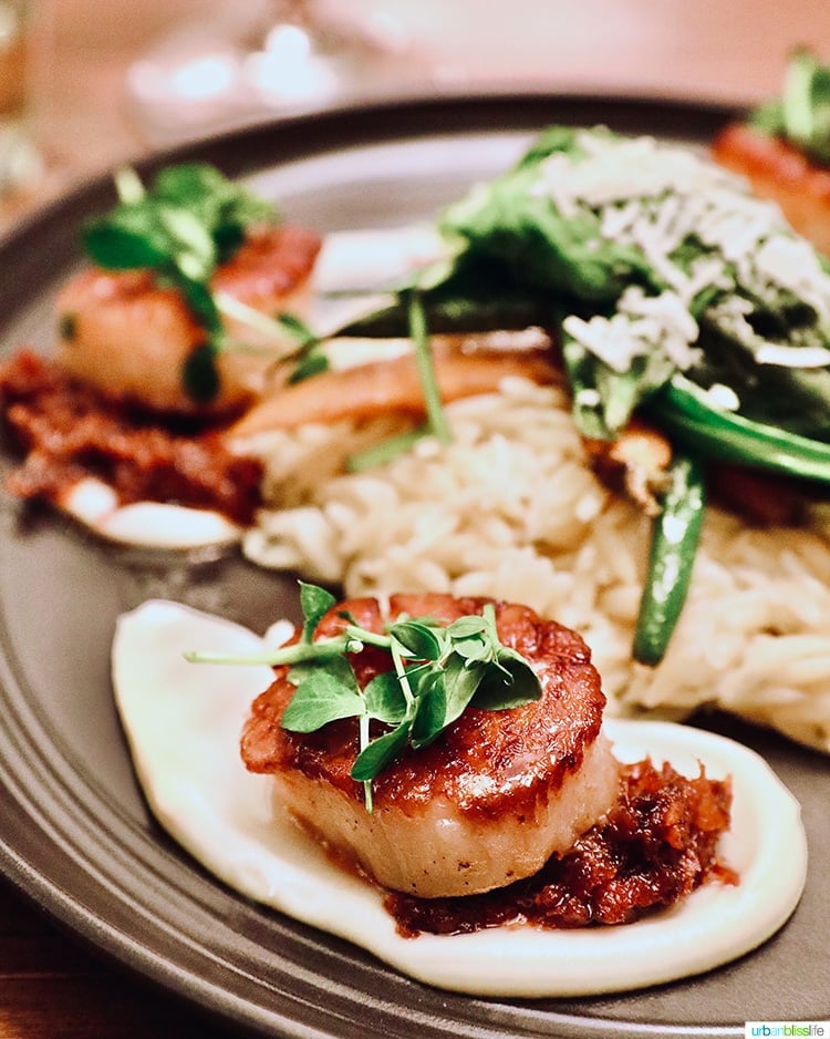 True Kitchen Bar Scallops 