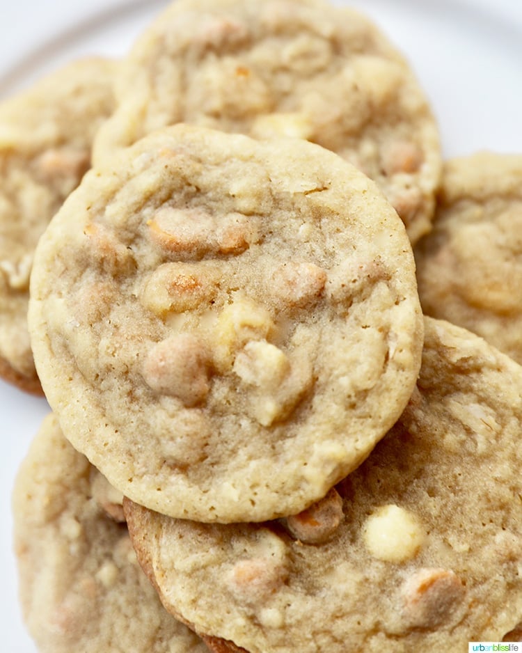 closeup of butterscotch cookies