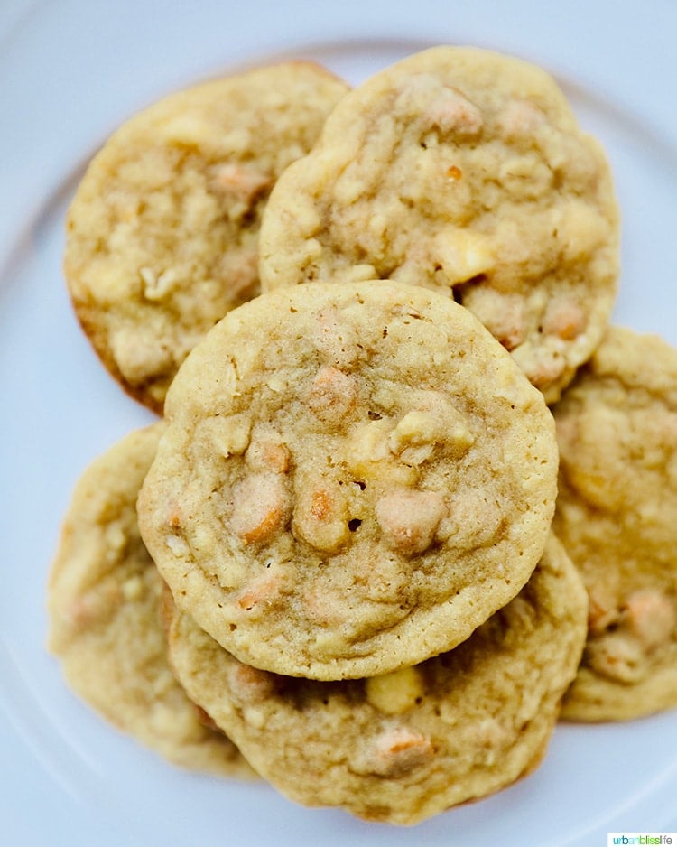 butterscotch cookies