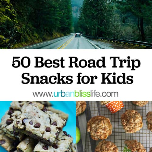 car driving through a forest, title text overlay, and images of chocolate chip snack bars and apple cinnamon muffins.