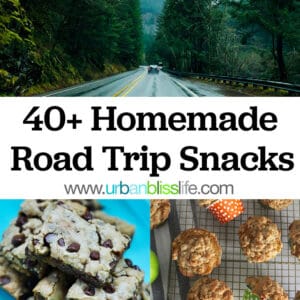 car driving through a forest, title text overlay, and images of chocolate chip snack bars and apple cinnamon muffins.