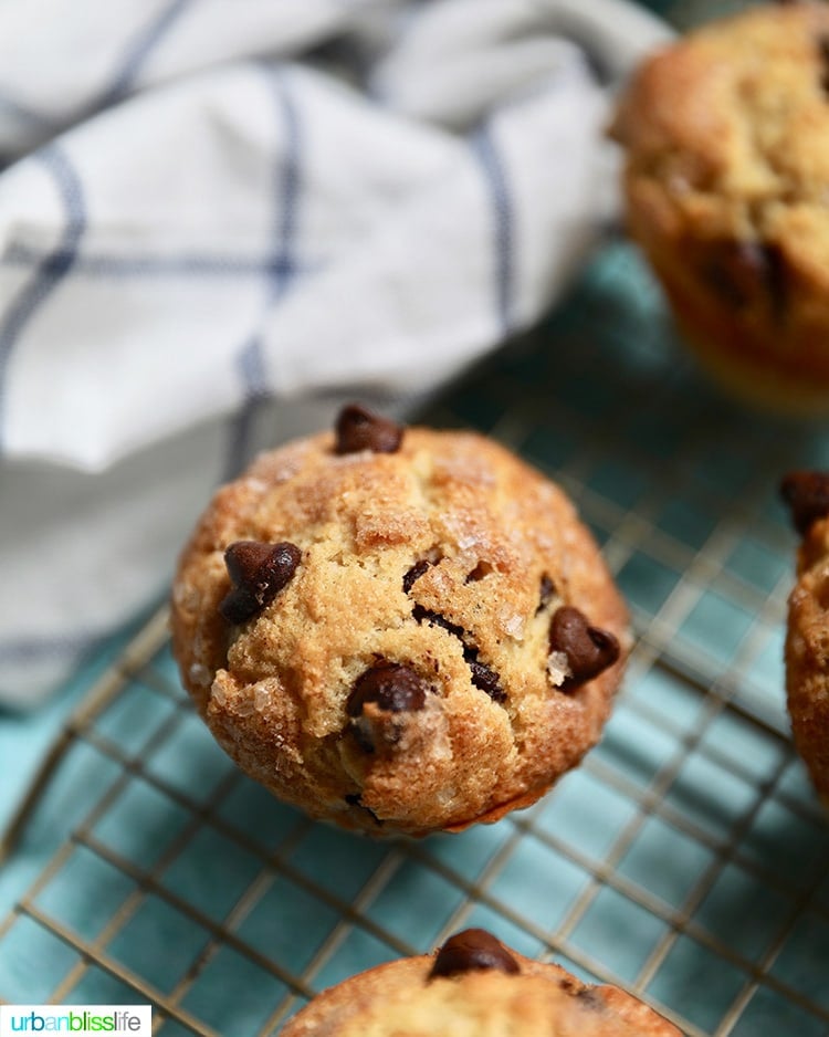 Chocolate Chip Muffins